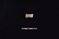 藏品(陶把)的圖片